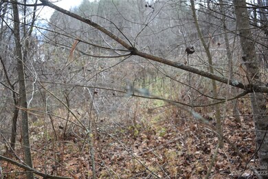 0000 Bradford Rd, Burnsville, NC 28714 - photo 2