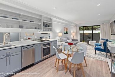 980 E Hyman Ave unit 5, Aspen, CO 81611 - photo 3