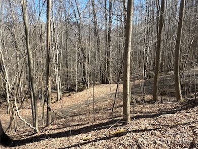 00 Beech Thicket Springs Rd unit 41, Bakersville, NC 28705 - photo 6