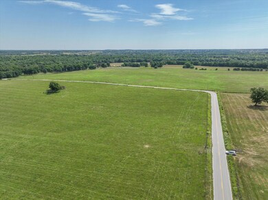 21-DJI_0009