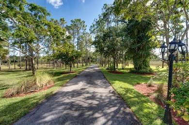 meandering driveway