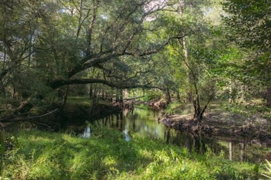 3007 Zion Grove Church Rd, Coolidge, GA 31738 - photo 7