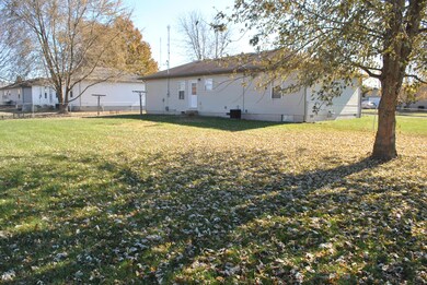Backyard_2
