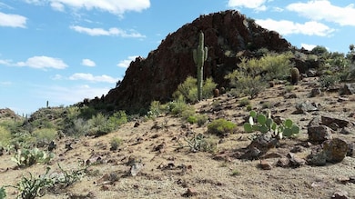 20150523_153951_resized_1