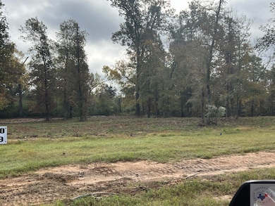 6200 River Birch Way, Texarkana, AR 71854 - photo 4