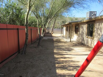 Back yard