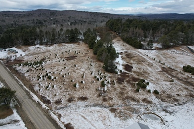 DJI_0889