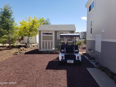 Shed and golf cart
