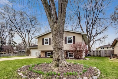 320 Rowan Ct, Naperville, IL 60540 - photo 3