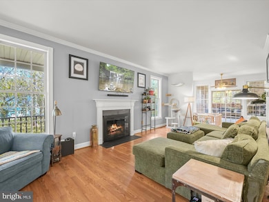 6731 Mink Hollow Rd, Highland, MD 20777 - photo 5