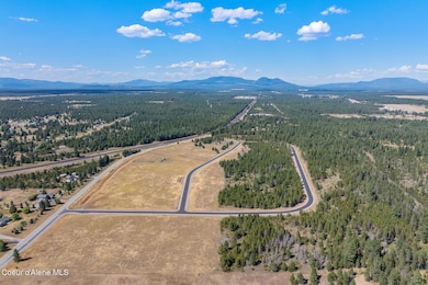 Lot 5 Dawson Lp, Athol, ID 83801 - photo 5