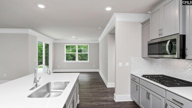 452 Forest Edge Trail, Lexington, SC 29072 - photo 5