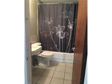 2015 was when professionals came in to tile the fl