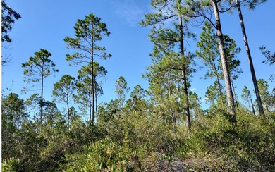 0 SW Prine Rd unit 121586, Lee, FL 32059 - photo 4