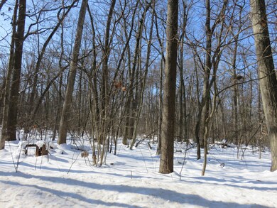 0 108th unit 19005013, Pullman, MI 49450 - photo 3