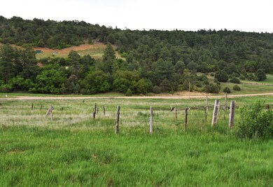DSC_1786