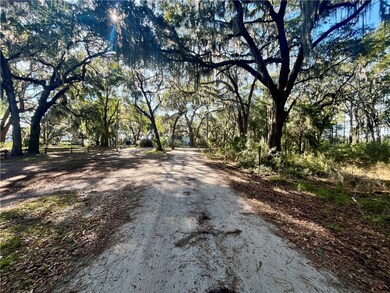 Lot 163 Julienton Dr NE, Townsend, GA 31331 - photo 6