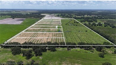 0 Johnston Rd unit 319843, Zolfo Springs, FL 33890 - photo 5