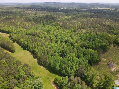 0 Highway 9 unit 1319111, Heflin, AL 36264 - photo 4