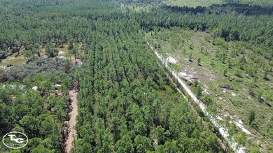 0 NE 212th Street Rd unit 11604827, Fort McCoy, FL 32134 - photo 3