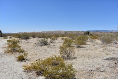 1 170th St W and S O Irone Ave, Rosamond, CA 93560 - photo 3