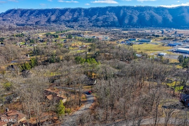 Tbd Blackheath Rd, Kingsport, TN 37660 - photo 6