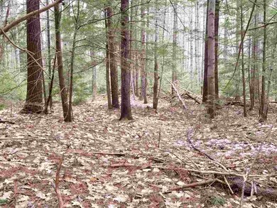 6 Sholan Rd, Thornton, NH 03285 - photo 4