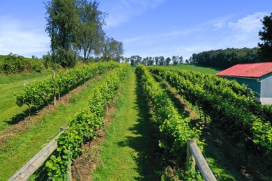 26367 Danville Amity Rd, Danville, OH 43014 - photo 3