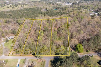 Tract 4 Old Cottonwood Mill Rd, Tunnel Hill, GA 30755 - photo 3