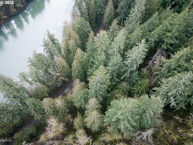 000 Serne Rd, Estacada, OR 97023 - photo 5