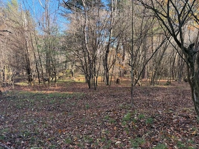 New Millport Rd, Clearfield, PA 16830 - photo 3