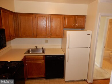 2528 Fairfax Dr unit B, Arlington, VA 22201 - photo 7