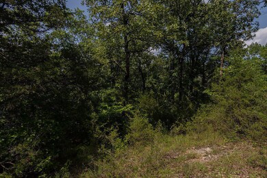 Arroyo 3