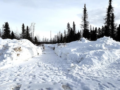 GOV S Leroy Davies Rd, Talkeetna, AK 99676 - photo 3