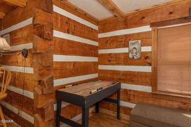 1165 Lower Alpine Way, Gatlinburg, TN 37738 - photo 6