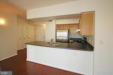 The Aurora Condominiums unit 412, Silver Spring, MD 20910 - photo 5