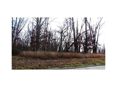 1507 Dauphine Ct, Centerton, AR 72719 - photo 4