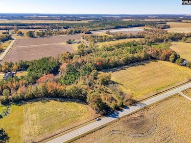 536 Elliott Hwy, Wisacky, SC 29010 - photo 3