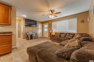 310 W Kickapoo St, Lincoln, IL 62656 - photo 4