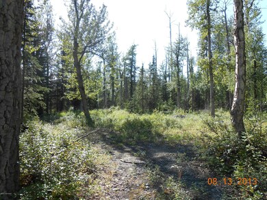 DSCN0150