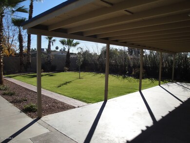 Backyard with full length patio