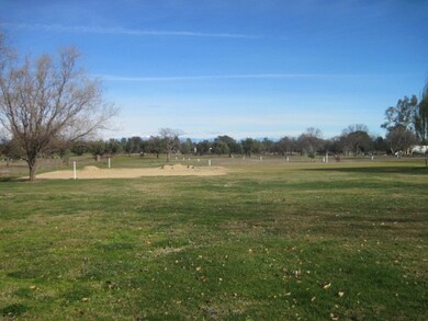 Saddle-Kimball- 018