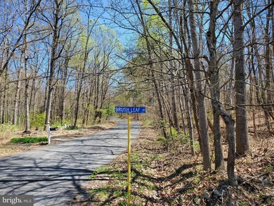 0 Brush Leaf Ln unit VASH2003004, Mount Jackson, VA 22842 - photo 3