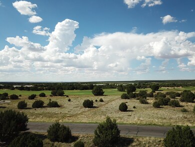 DJI_0002