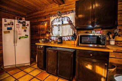 Kitchen frig and counter