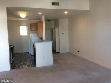 5002 Willow Branch Way unit 303, Owings Mills, MD 21117 - photo 5