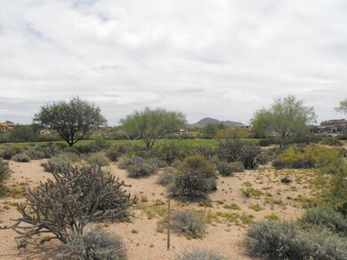 Lot 341 Pic 3