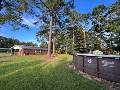 Back view