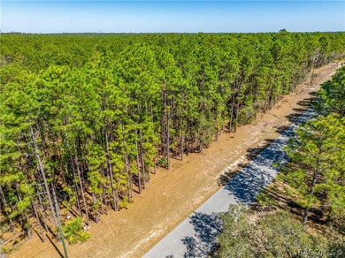 5783 W Cisco St, Beverly Hills, FL 34465 - photo 3