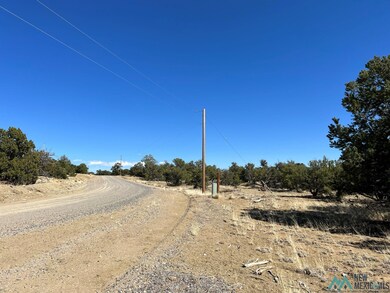 89 Ponderosa View Loop, Pie Town, NM 87827 - photo 4